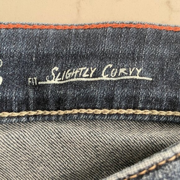 Eddie Bauer Slightly Curvy Fit 5 Pocket Med Wash Denim Jean Shorts Blue Sz 10 - Picture 8 of 12